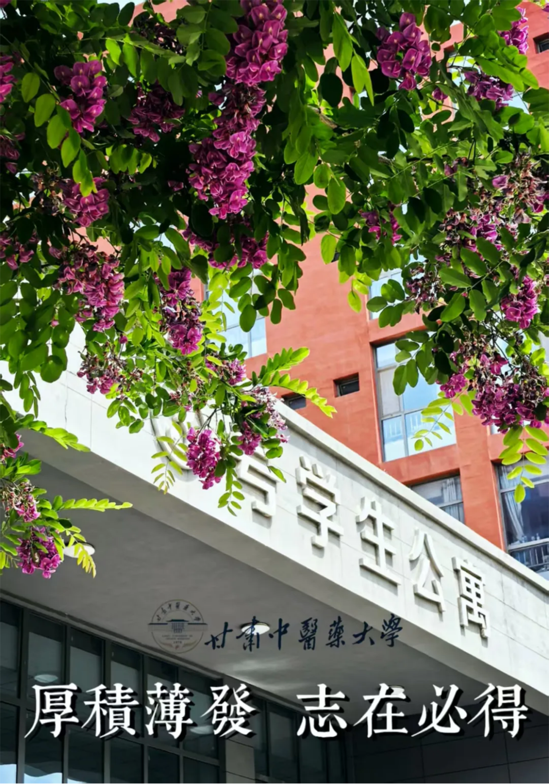 高考倒計時10天｜愿你執(zhí)筆為劍，不負熱血青春！