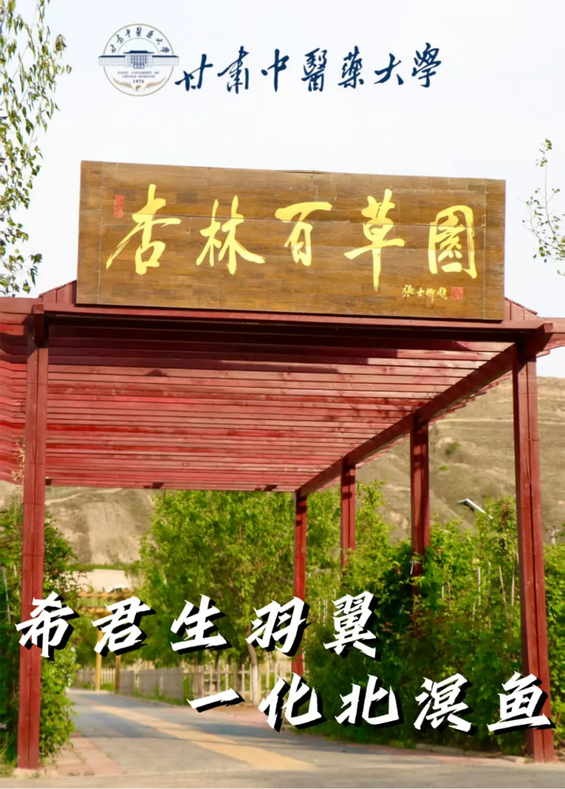 高考倒計時10天｜愿你執(zhí)筆為劍，不負熱血青春！