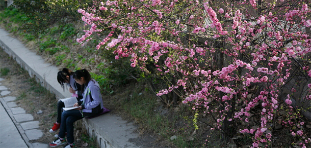 2021年招生分數(shù)