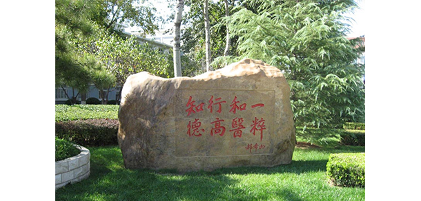 我的大學-大學志