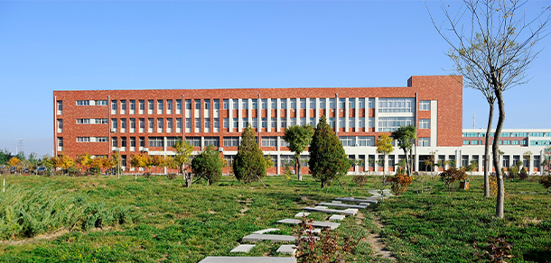 我的大學(xué)-大學(xué)志