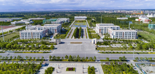 我的大學(xué)-大學(xué)志