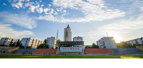 我的大學-大學志