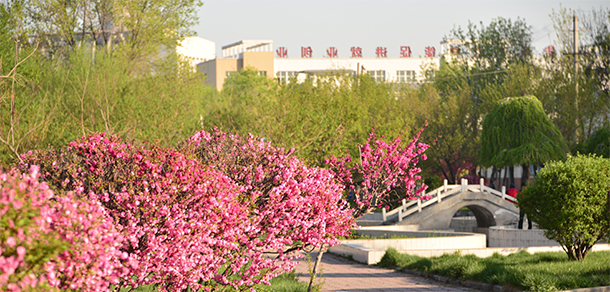 我的大學-大學志