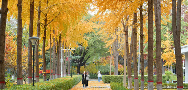 河北大學 - 最美大學