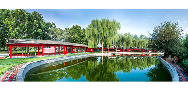 我的大學(xué)-大學(xué)志