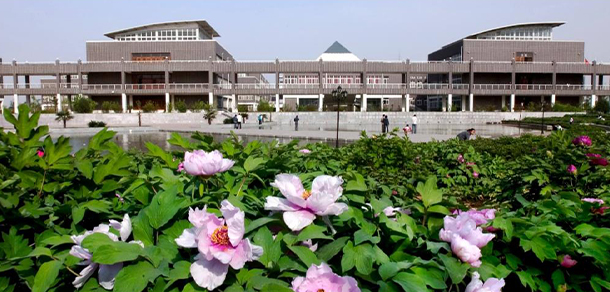 我的大學-大學志
