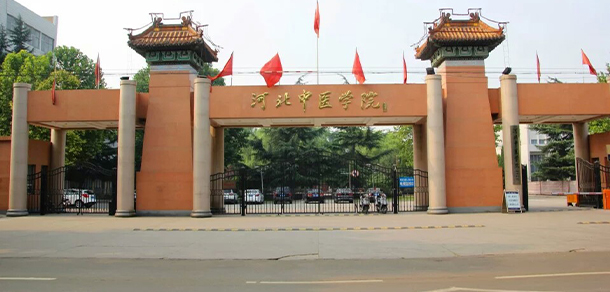 我的大學(xué)-大學(xué)志