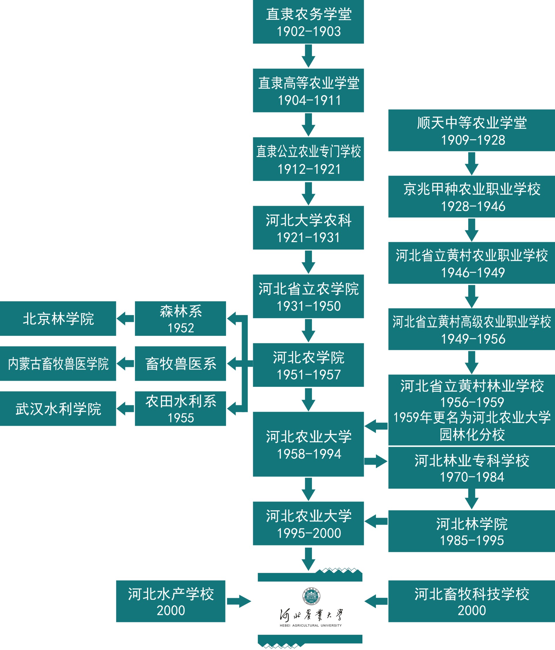 大學校志，歷史沿革（概）校史