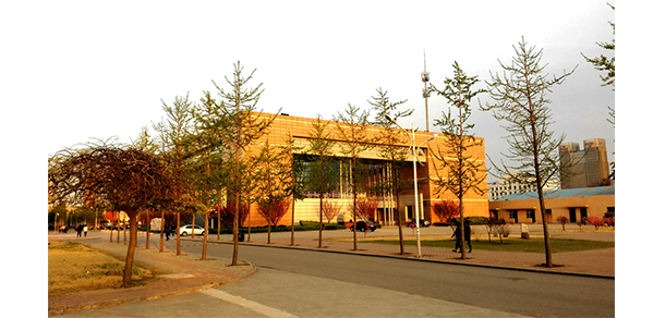 我的大學(xué)-大學(xué)志