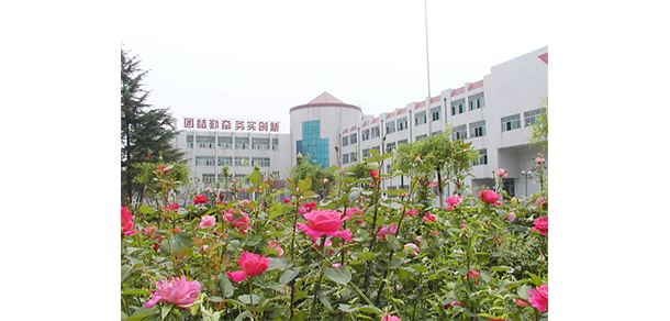 我的大學(xué)-大學(xué)志