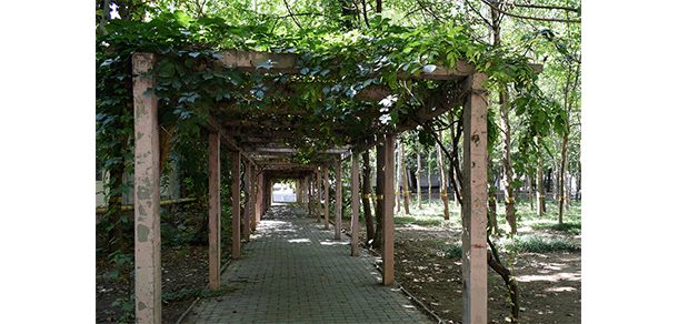 我的大學(xué)-大學(xué)志