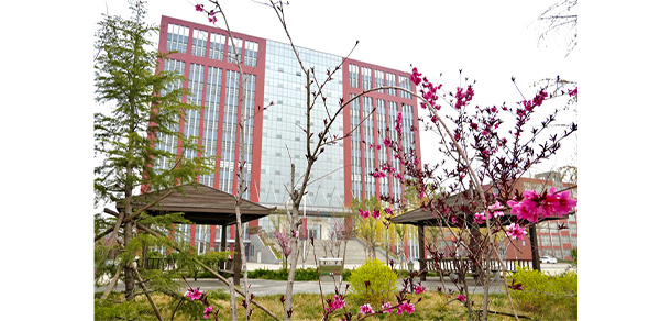 我的大學(xué)-大學(xué)志