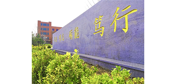 我的大學(xué)-大學(xué)志