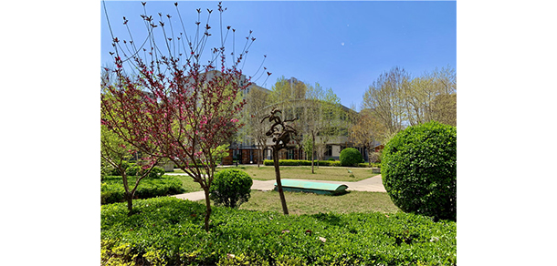 我的大學(xué)-大學(xué)志