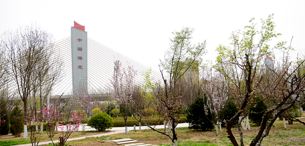我的大學-大學志