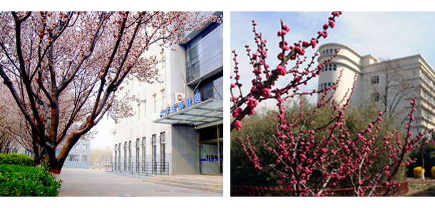 我的大學(xué)-大學(xué)志