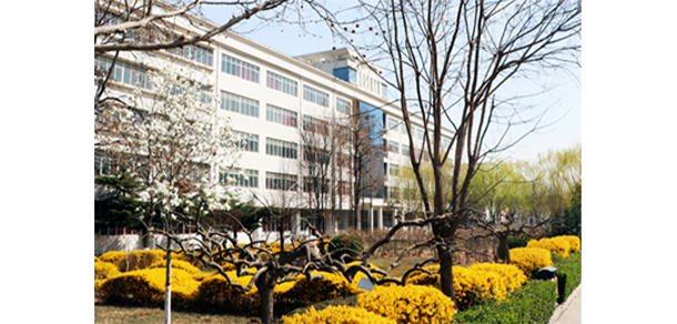我的大學(xué)-大學(xué)志