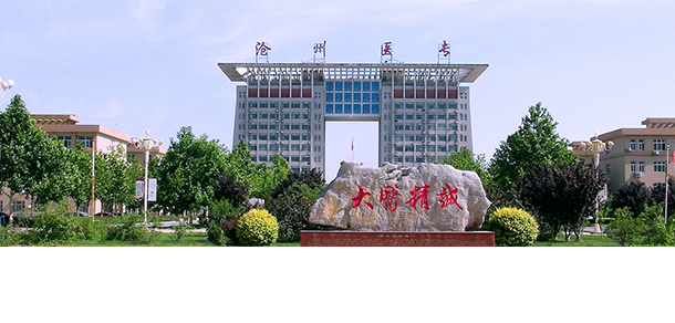 我的大學(xué)-大學(xué)志