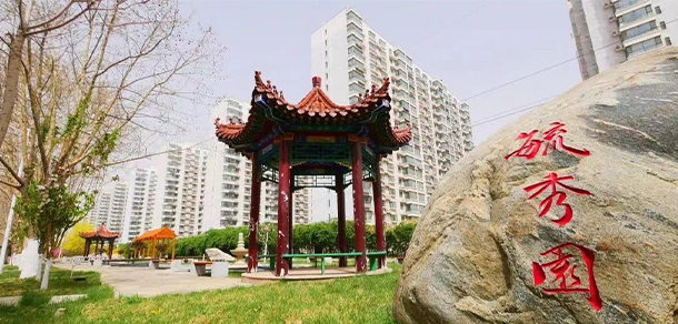 我的大學(xué)-大學(xué)志