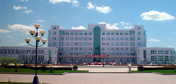 我的大學(xué)-大學(xué)志