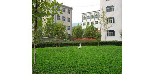 保定幼兒師范高等專(zhuān)科學(xué)校 - 最美院校