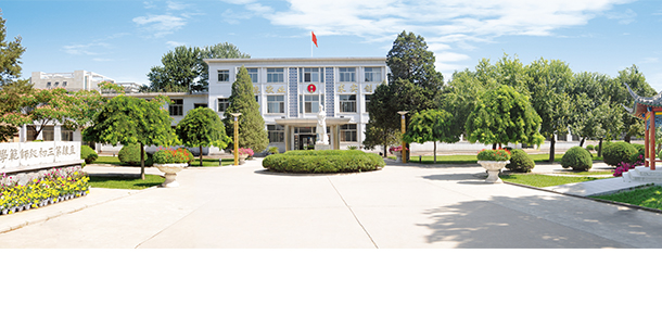 我的大學(xué)-大學(xué)志
