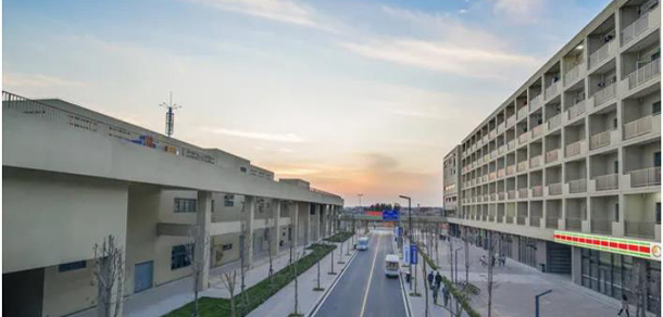 我的大學-大學志