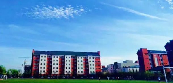 我的大學(xué)-大學(xué)志
