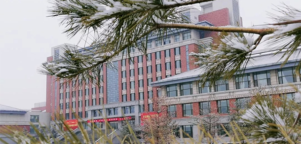我的大學(xué)-大學(xué)志