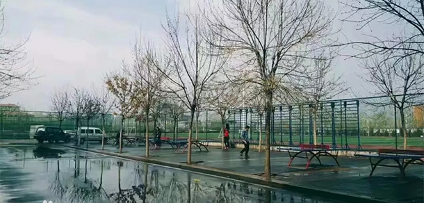 我的大學(xué)-大學(xué)志