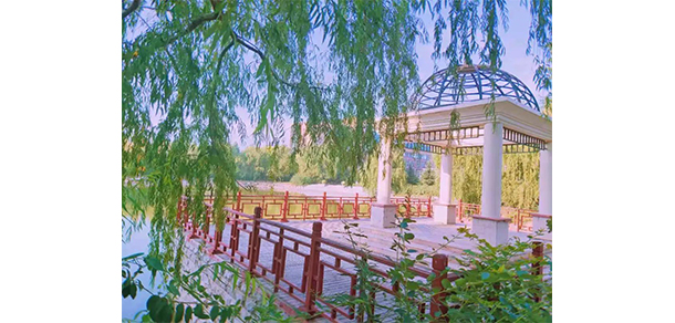 我的大學(xué)-大學(xué)志