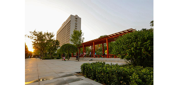 我的大學(xué)-大學(xué)志