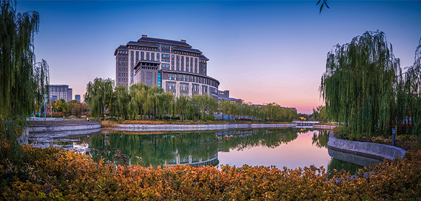我的大學(xué)-大學(xué)志