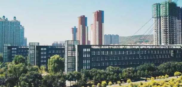 我的大學(xué)-大學(xué)志
