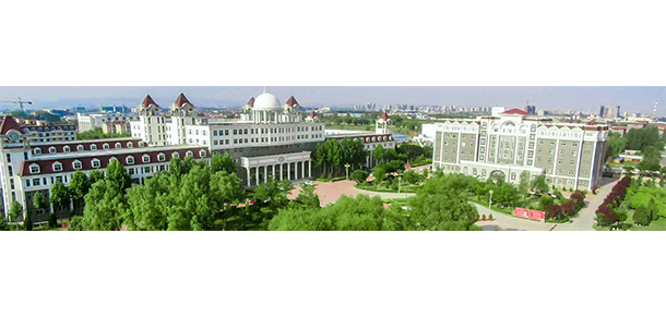 我的大學(xué)-大學(xué)志