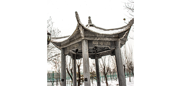我的大學(xué)-大學(xué)志