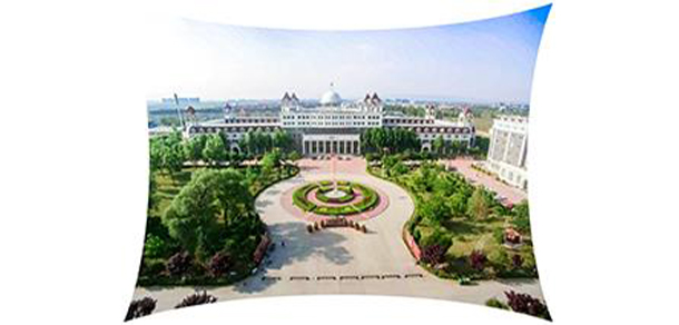 我的大學(xué)-大學(xué)志