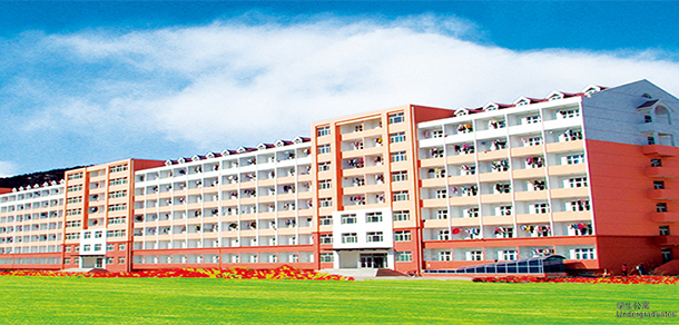 我的大學(xué)-大學(xué)志