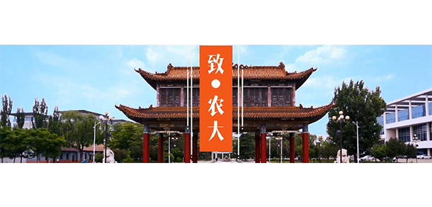 我的大學-大學志