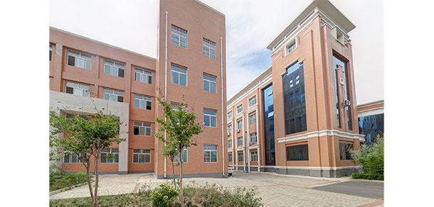 我的大學(xué)-大學(xué)志