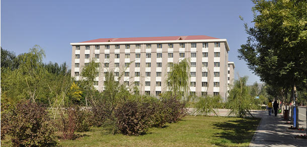 我的大學-大學志