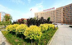 歷史沿革(概)校史