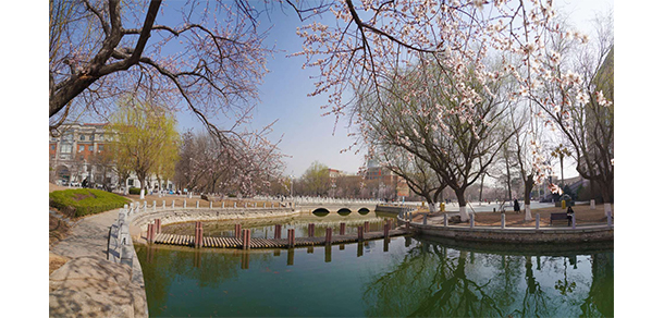 我的大學(xué)-大學(xué)志
