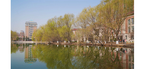 我的大學(xué)-大學(xué)志
