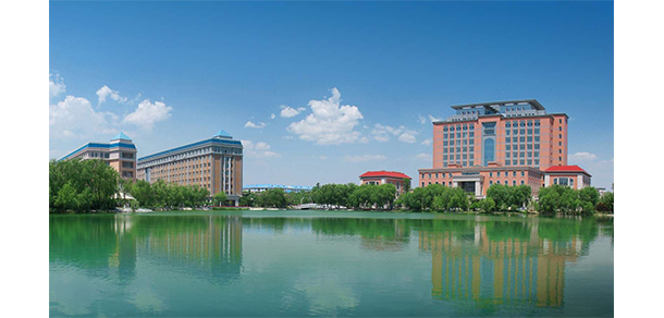 我的大學(xué)-大學(xué)志