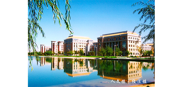 我的大學(xué)-大學(xué)志