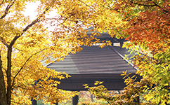 招生公告 · 招生簡章 · 招生計劃