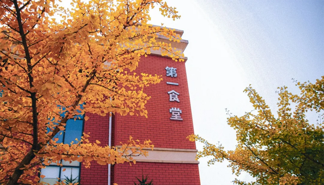 大連工業(yè)大學(xué)藝術(shù)與信息工程學(xué)院2025年招生章程