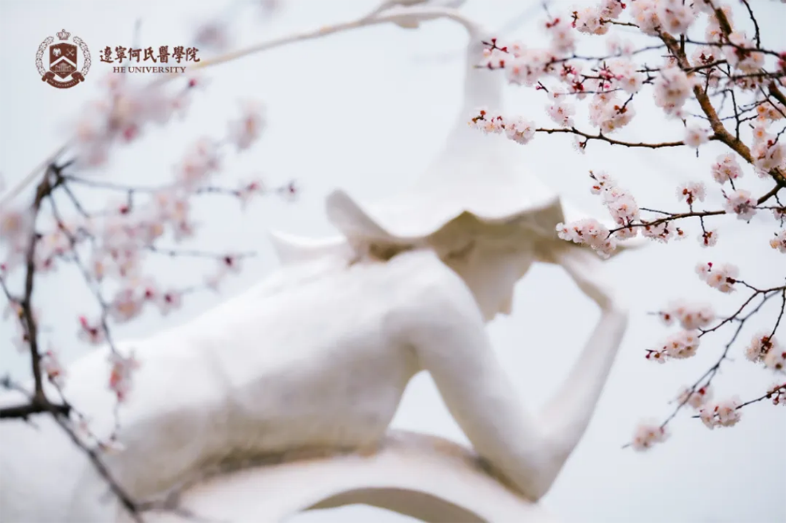 花事正盛，何氏的春天“鏡”這么美！
